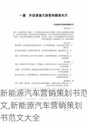 新能源汽车营销策划书范文,新能源汽车营销策划书范文大全